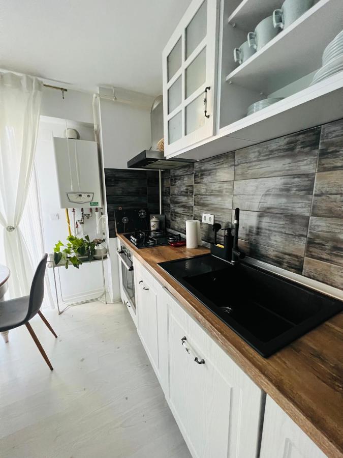 The Airport Loft Apartment Otopeni Exterior photo